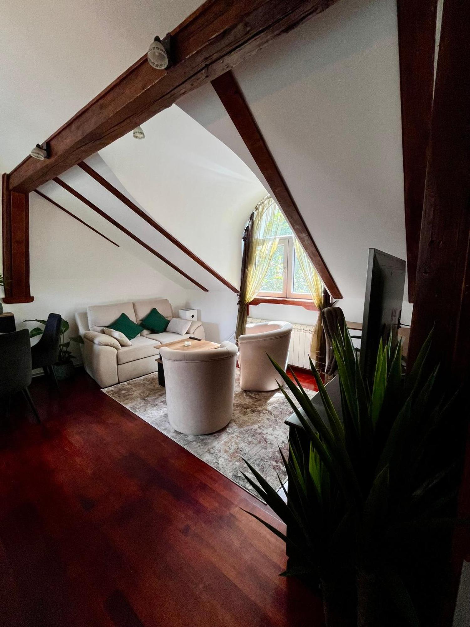 Urban Oasis Apartment Belgrad Exterior foto